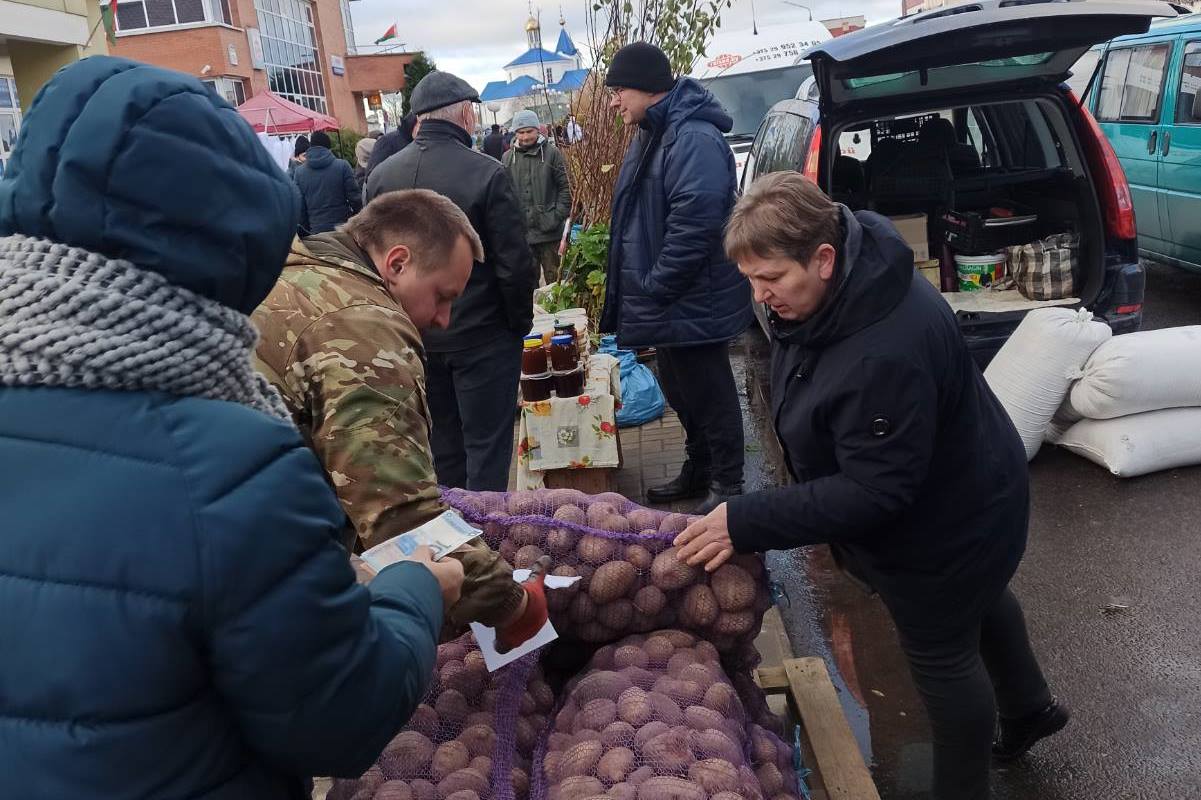 Второй раз в Ошмянах состоялась сельскохозяйственная ярмарка - Ошмянское  районное объединение профсоюзов