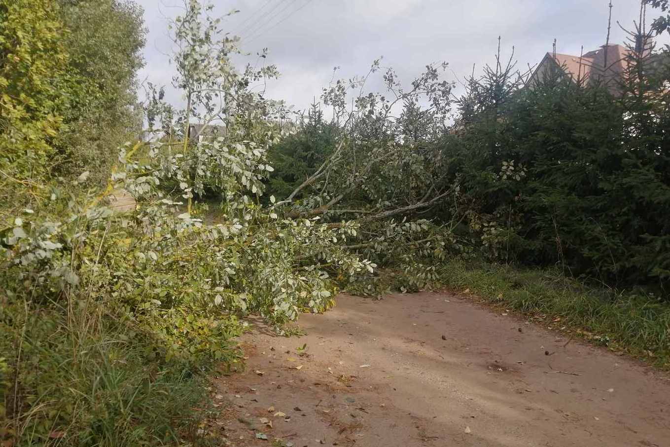 Шквалистый ветер, бушевавший в Беларуси, затронул и Ошмянский район — Ошмяны.  Ошмянский вестник. Ашмянскi веснiк